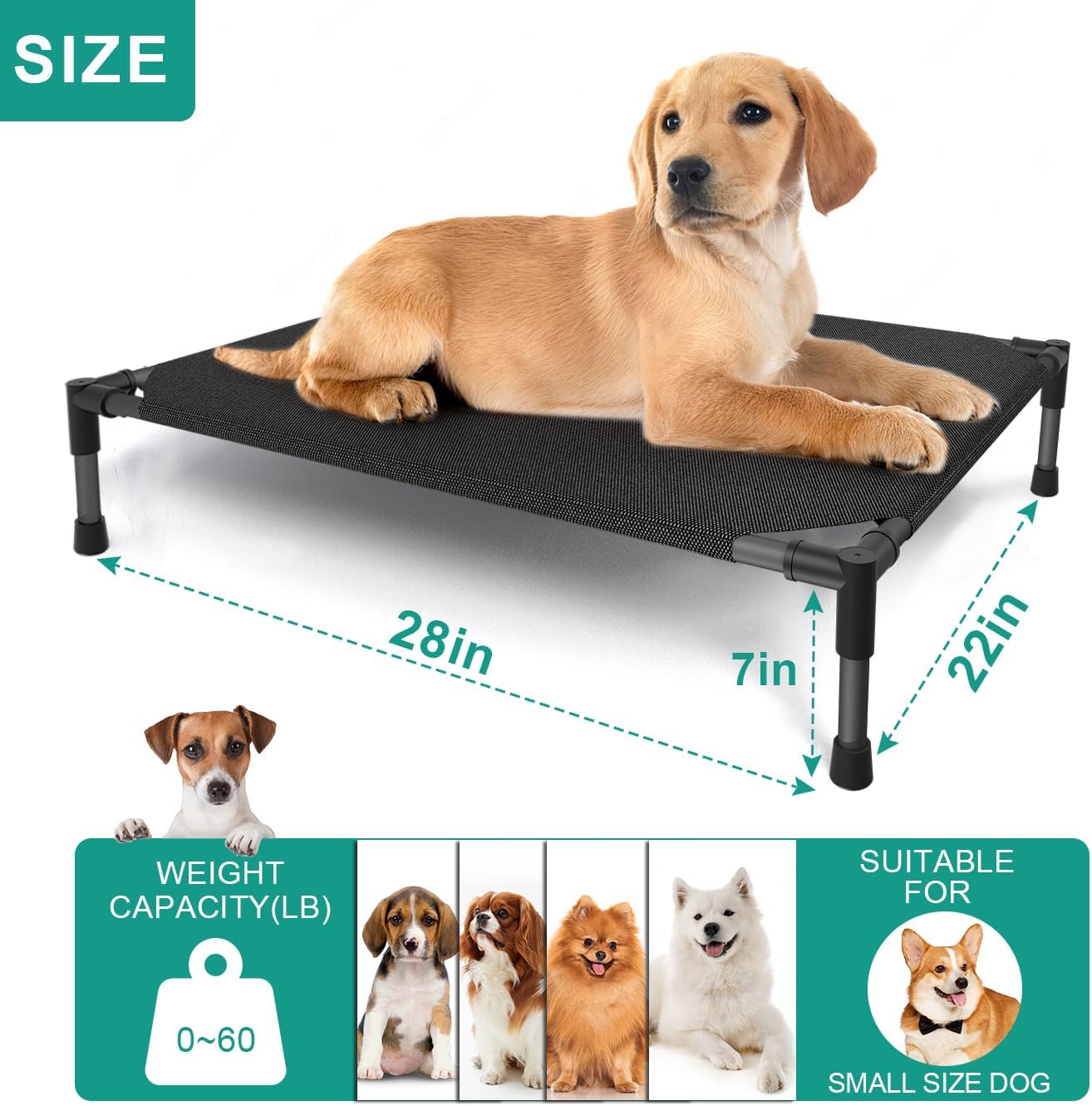 Medium Elevated Dog Bed (32x25x8in) β Raised Outdoor Pet Cot with Waterproof Frame, Breathable Mesh & Non-Slip Feet β Supports Up to 80 lbs β Black